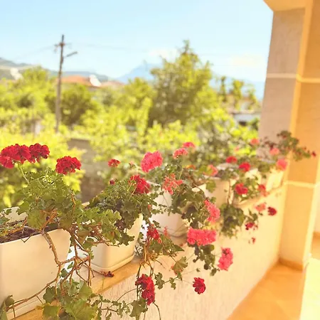 Anel's Apartment Berat