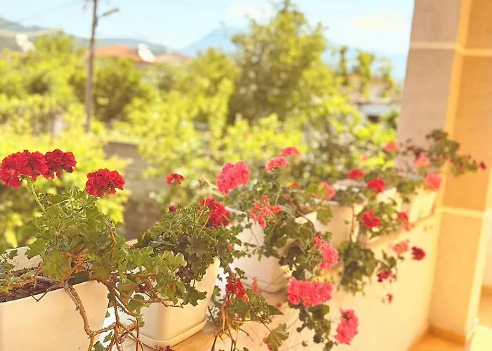 Anel's Apartment Berat